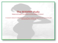 MAMMI Survey 2 - 3 Month Postnatal